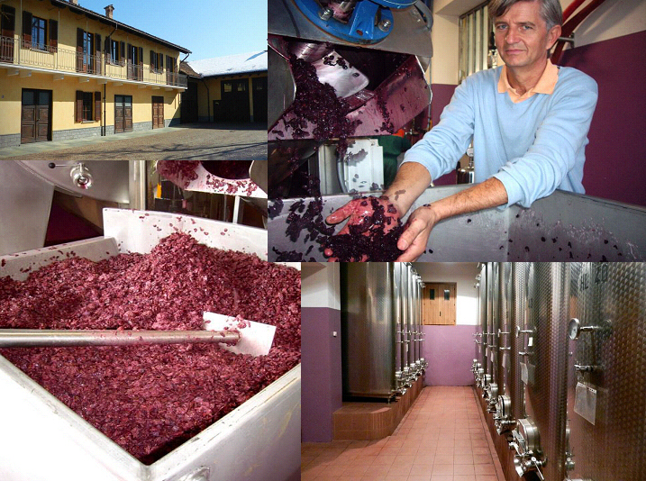 Azelia1.jpg Azelia1.jpg